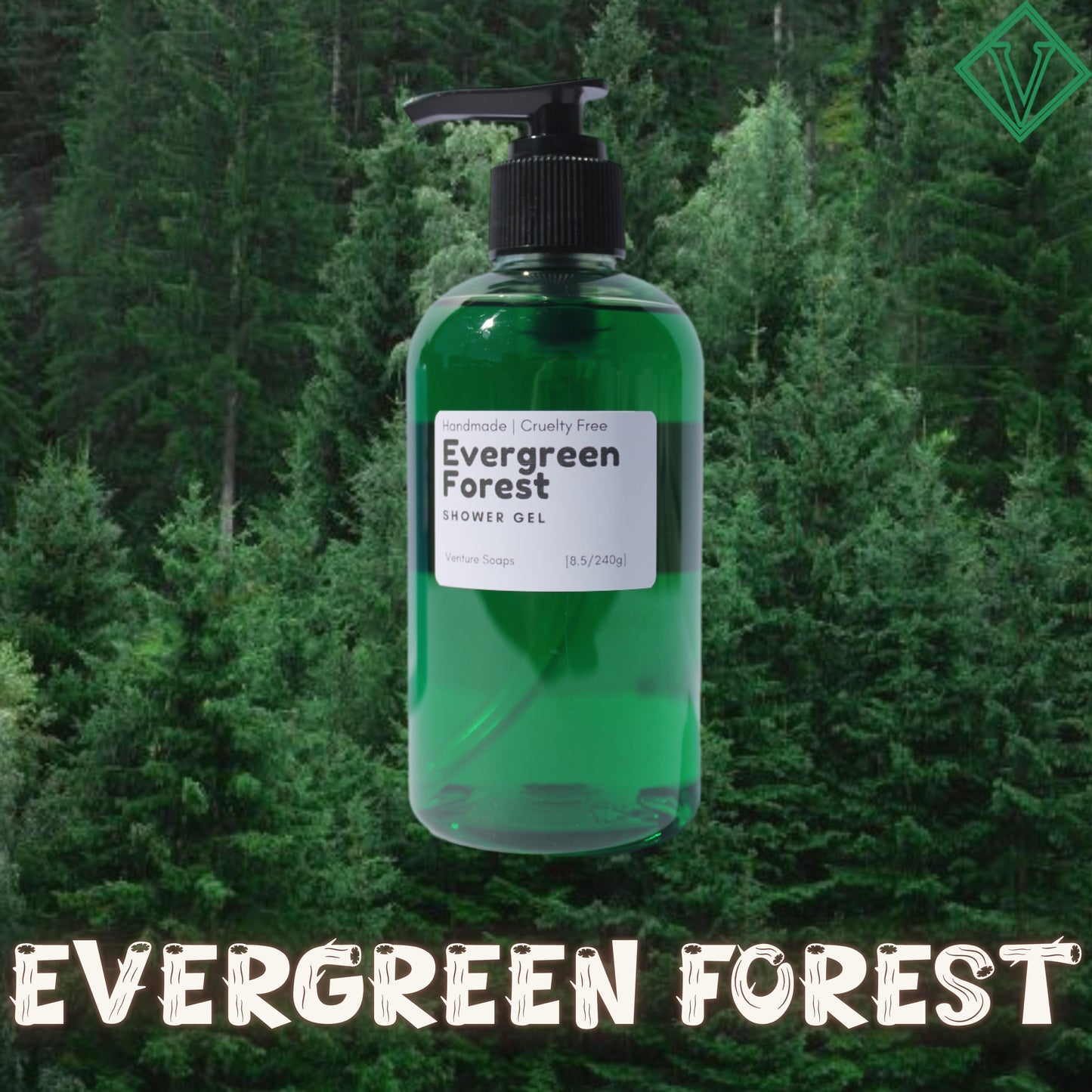 Evergreen Forest